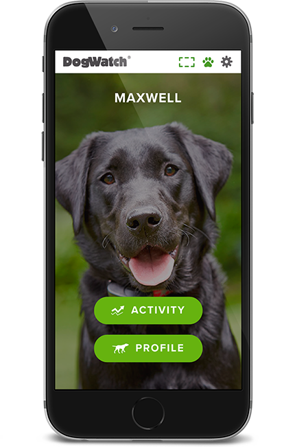 DogWatch of Acadiana, Youngsville, Louisiana | SmartFence WebApp Image