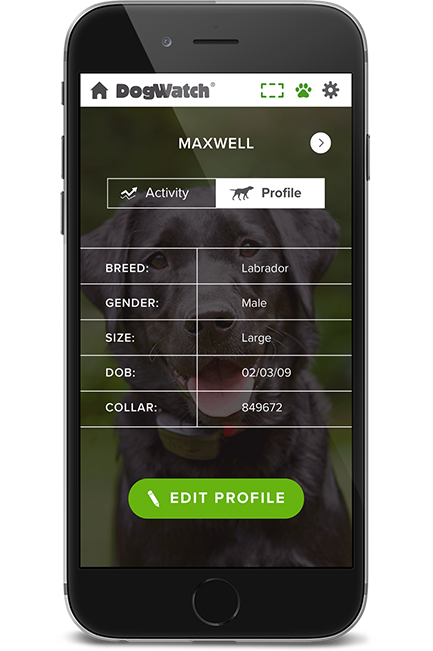DogWatch of Acadiana, Youngsville, Louisiana | SmartFence WebApp Image